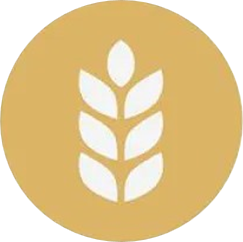 Cereali contenenti glutine
