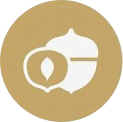 Noci
