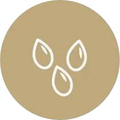 Semi di sesamo